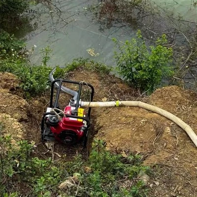 Portable Diesel Pump